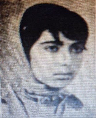 Image Description